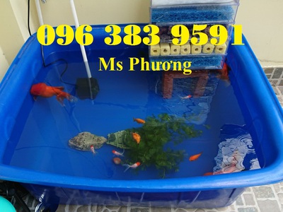 Thùng chữ nhật 200 lít hàng mới 100, bền đẹp, an toàn thực phẩm tuyệt đối. 0