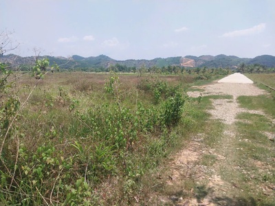 Chính chủ bán đất cln tại xã đạ kho, huyện  đạ tẻh, lâm đồng 1
