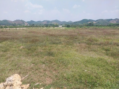 Chính chủ bán đất cln tại xã đạ kho, huyện  đạ tẻh, lâm đồng 0
