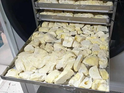 Ứng dụng công nghệ sấy thăng hoa trong chế biến sầu riêng sấy khô đạt chất lượng cao 0