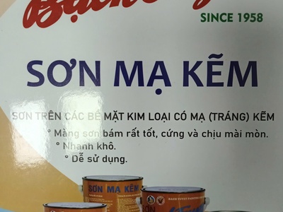 Sơn Mạ Kẽm Bạch Tuyết   Áo giáp bảo vệ thép, giữ vững công trình 1