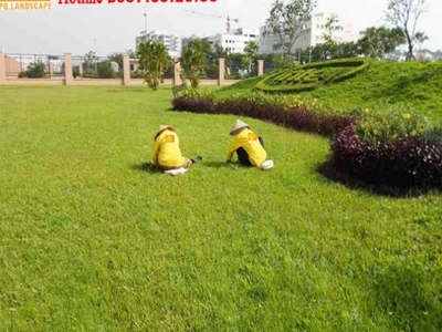 Dịch vụ dọn vườn chuyên nghiệp   Sạch đẹp ngay 0