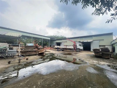 Đất mặt tiền shr 4737m2, nở hậu   thuận đức củ chi s 2
