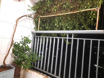 Cần bán căn hộ 65m2 khu HH02 chung cư Thanh Hà Cienco 5 2