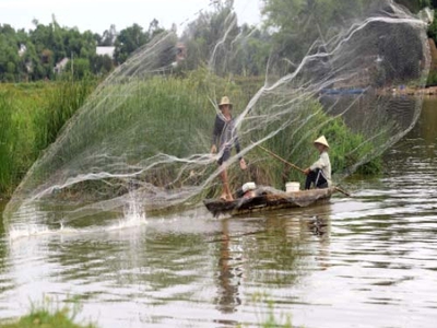 Chài cá giá rẻ tphcm - nguyễn út 3