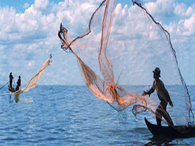 Chài cá giá rẻ tphcm - nguyễn út 6