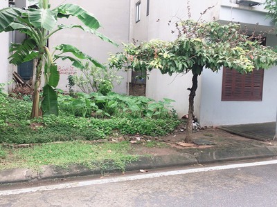 Bán Đất Phân Lô, Vỉa Hè, Kinh Doanh, Ô Tô, 75m2, MT5m, 918 Phúc Đồng, Long Biên 2