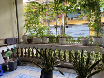 Bán nhà mặt phố hàng bạc, 80m2, 4 tầng, mặt tiền gần 4m, 70.8 tỷ, vỉa hè rộng, kinh doanh đỉnh 2