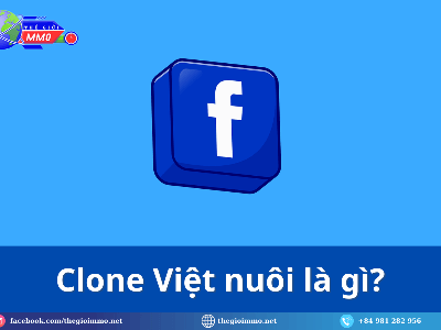 Mua Clone Việt Uy Tín Ở Đâu Để Seeding Nhóm Không Bị Khóa 0