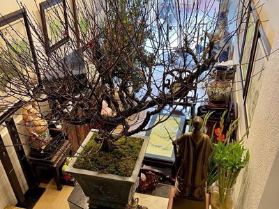 Cơ hội vàng   nhà phố trung liệt   cực hiếm - ô tô đỗ cửa   kinh doanh đỉnh cao - 53x5t 1