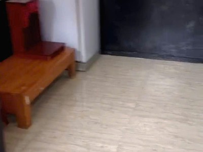 Cho thuê homestay nguyên căn   p.8, đà lạt và nhà nguyên căn   p.3, ngay ngã 3 triệu việt dương 2