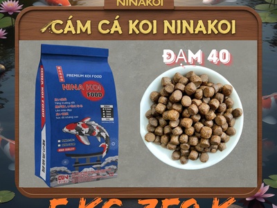Cám cá koi Var:TinhQuan 0