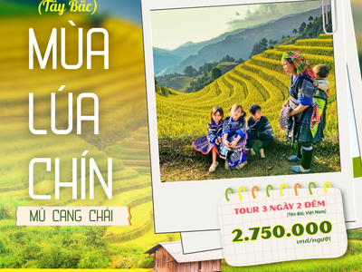 Tour Du Lịch Quy Nhơn Phú Yên: Khám Phá Kỳ Co   Eo Gió Tuyệt Đẹp 3