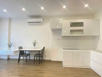 Căn hộ 1 phòng ngủ. Diện tích 43m. Tòa SA2- Vinsmart City, Tây Mỗ. 1