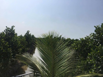 Hót  chính chủ bán đất đẹpgiá tốt 1