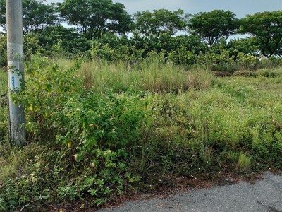  đất đẹp khu tđc tân trà, đà nẵng   giá chỉ 3,95 tỷ  0