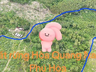 Cần bán 5,1ha đất thôn phú thạnh, xã hòa quang nam, huyện phú hòa, tỉnh phú yên  nay thuộc đắk lắk 2
