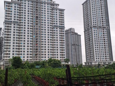 Bán 38m đất tặng nhà cấp 4 nhật tảo- đông ngạc- sát cipucha- 1.5 tỷ 1