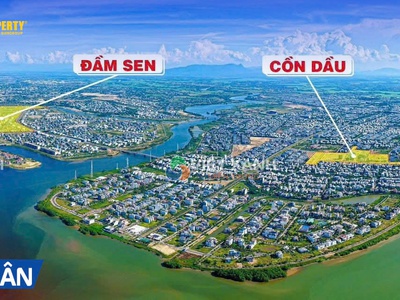 Việt xanh đà nẵng- mở rộng chi nhánh -  đón thêm nhân tài 4