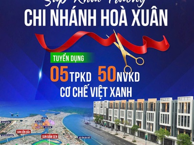 Việt xanh đà nẵng- mở rộng chi nhánh -  đón thêm nhân tài 0