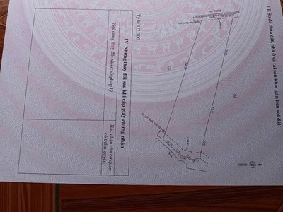 Chính chủ bán đất 1,6 ha tại lộc an, lộc ninh, bình phước 1