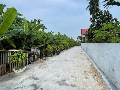 6xx  triệu 65m2 lão phú tân phong kiến thụy zalo 0567222555 0