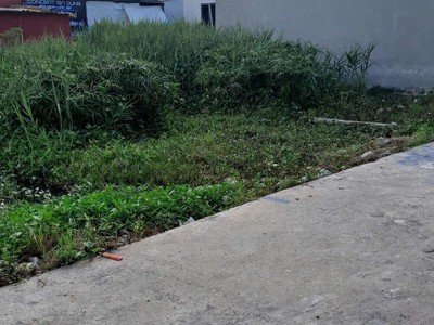 6xx  triệu 65m2 lão phú tân phong kiến thụy zalo 0567222555 2