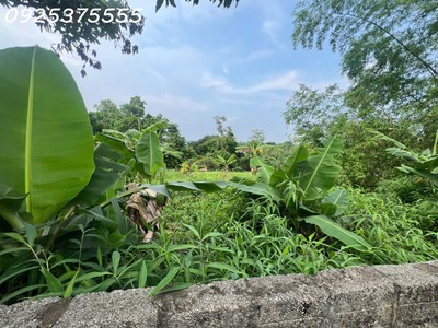 Siêu phẩm đất đẹp vuông như bánh chưng, giá rẻ tại phú mãn, quốc oai 4