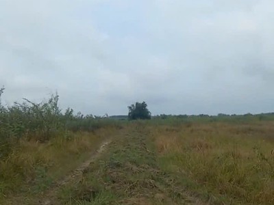 Cần bán đất 80 mẫu tại vĩnh cửu đồng nai giá cả thương lượng 1