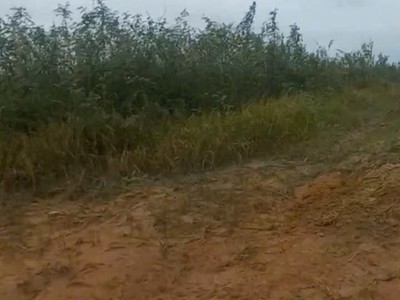 Cần bán đất 80 mẫu tại vĩnh cửu đồng nai giá cả thương lượng 2
