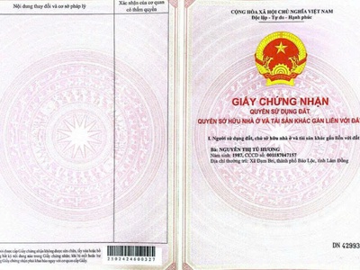 Gia đình đi nước ngoài cần bán gấp đất tại xã Đinh Trang Hòa, huyện Di Linh, tỉnh Lâm Đồng. 1