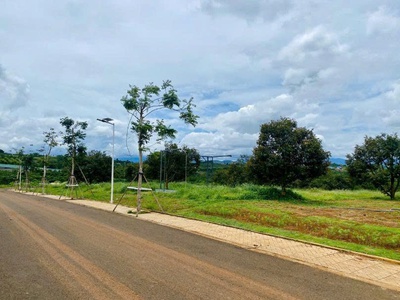 Gia đình đi nước ngoài cần bán gấp đất tại xã Đinh Trang Hòa, huyện Di Linh, tỉnh Lâm Đồng. 2