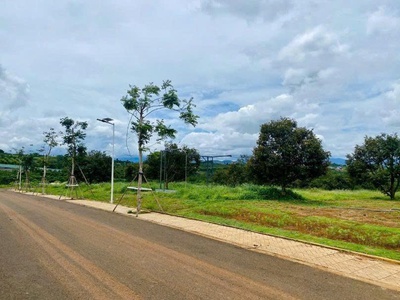 Chính chủ bán đất tại xã Đinh Trang Hòa, huyện Di Linh, tỉnh Lâm Đồng 2