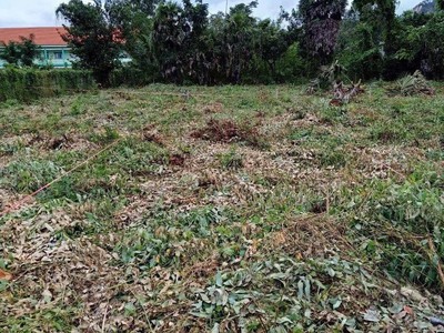 Bán đất đường ql91, phường tịnh biên, thị xã tịnh biên, an giang 2