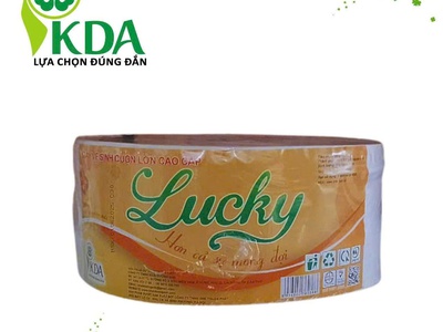 Chuyên cung cấp giấy cuộn lớn dành cho công ty, xí nghiệp tại Bến Tre 0