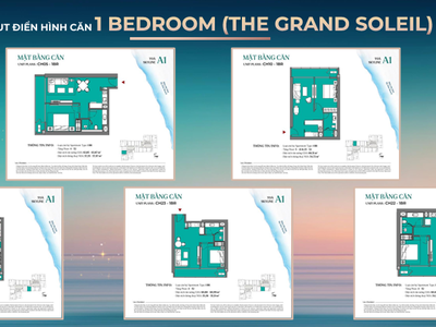 The Soleil Da Nang: Nhận booking chỉ từ 50 triệu, Gốc cđt CK hấp dẫn đến 14 Giá từ 2,4 tỷ 2