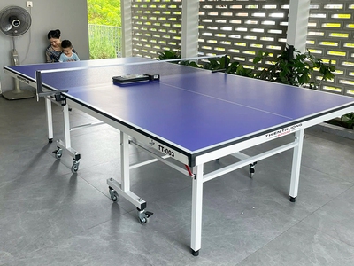 Bàn bóng bàn Harito TT-003 1