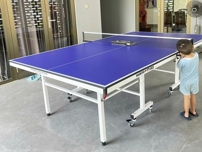 Bàn bóng bàn Harito TT-003 0
