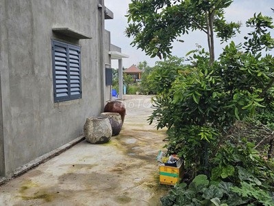 Bán đất có nhà cấp 4 -  Rạch Sậy, Hưng Long, Bình Chánh, HCM 1
