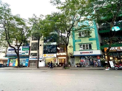 Mặt phố vip  siêu vip của em phố trần đại nghĩa. 1 mặt ngõ 2 ô tô - vị trí vàng - vỉa hè miên man 1