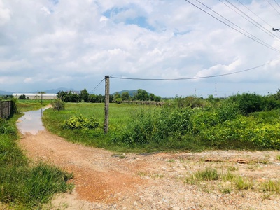 Bán 26m x 83m đất 2 mặt tiền hùng vương - lagi giá rẻ view biển 2