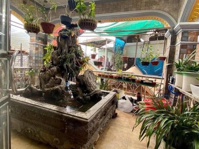 Chỉ 8,65 tỷ, sở hữu ngay căn hộ hàng xóm kđt mới đại kim, 50m 5 tầng, mặt tiền 5m, ngõ thông. kinh 2