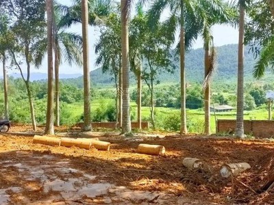 Bán 20.000 m2 đất tại trung tâm xã phú cát- quốc oai- hà nội 3