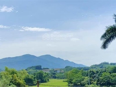Bán 20.000 m2 đất tại trung tâm xã phú cát- quốc oai- hà nội 4