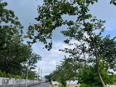 Đất nền phú mỹ nằm giữa lòng tp cảng cái mép - thị vãi 0