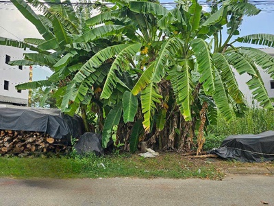 Bán đất phân lô bưng ông thoàn   vị trí đẹp, đường rộng, giá tốt 3