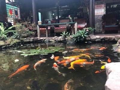 Cc cho thuê quán cafe tại phường hưng lộc, tp vinh 0