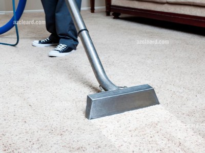 Bạn có chắc thảm trong nhà bạn đang sạch như bạn nghĩ 0