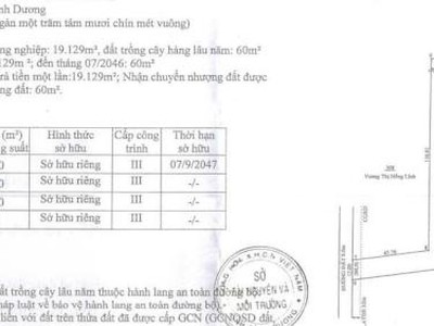 Cho Thuê Nhà Xưởng 11.120 M2 An Tây, Bến Cát, Bình Dương 2
