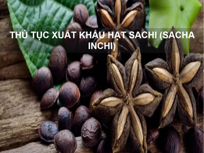 Thủ tục xuất khẩu hạt sachi  sacha inchi 0